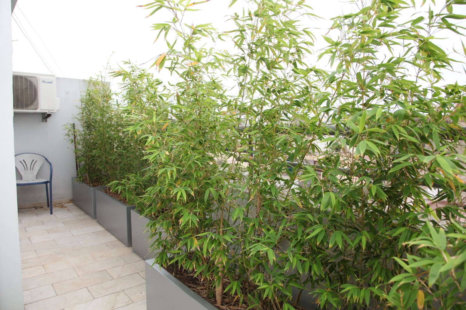 Duplex Maarif – Suivi 100% en ligne – photo 13